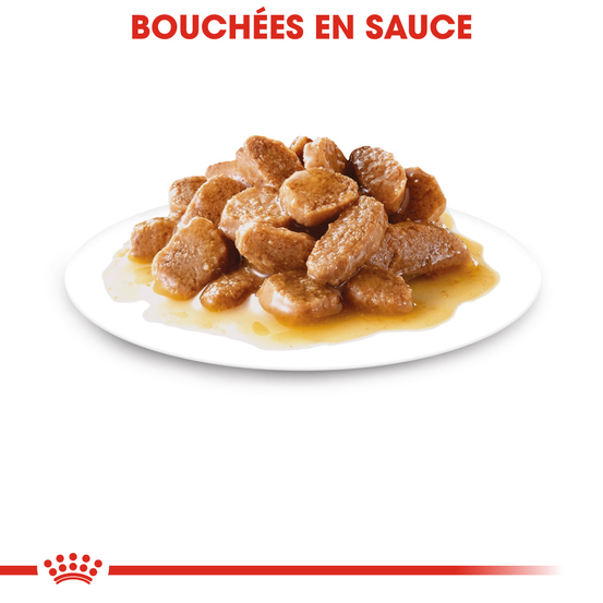 Mousse petit chien Adulte Mini Adult 12x85g