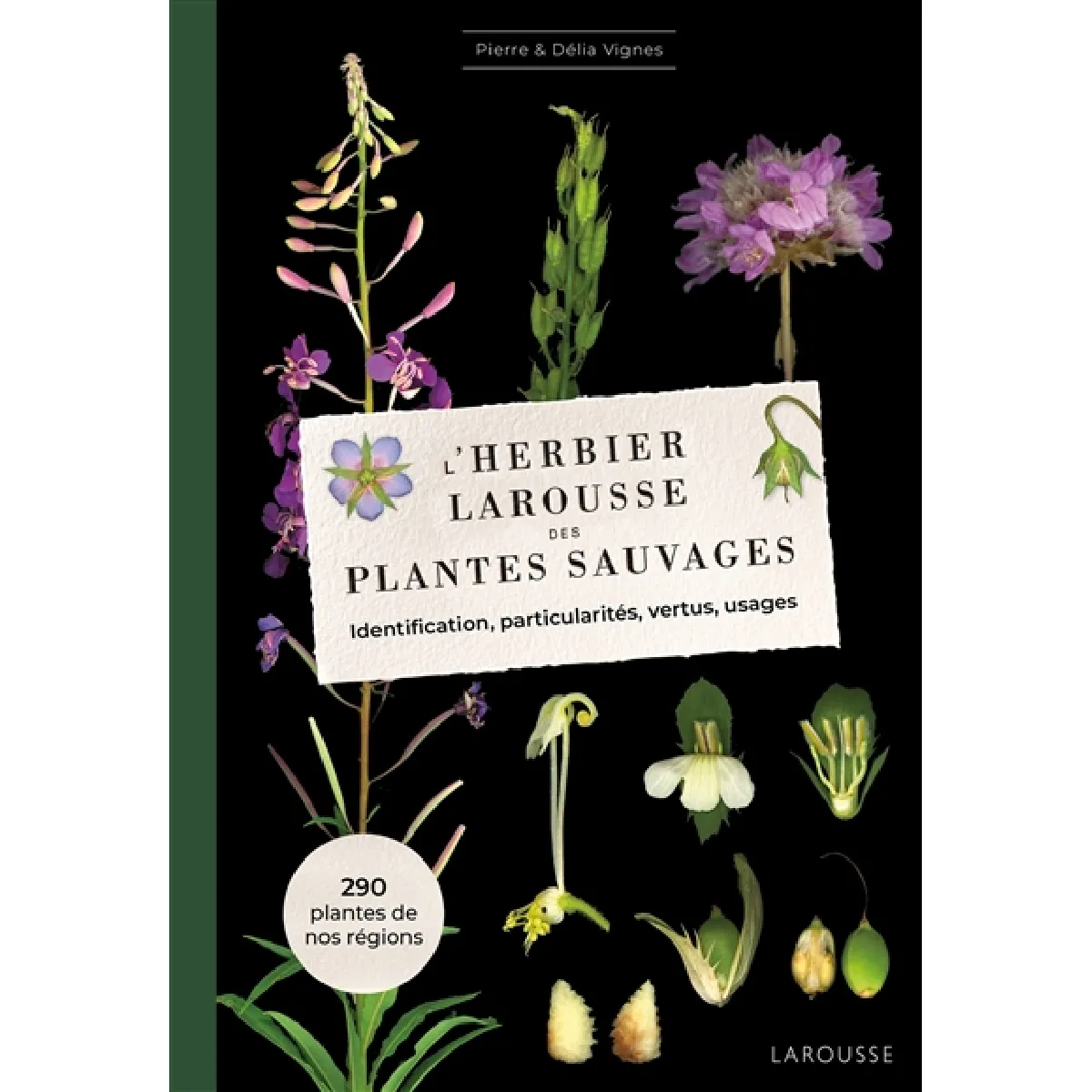 L'herbier Larousse des plantes sauvages : identification, particularités, vertus, usages : 290 plantes de nos régions · Occasion