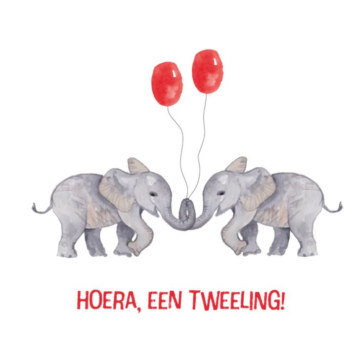 Greetz | Geboortekaart | tweeling | olifanten