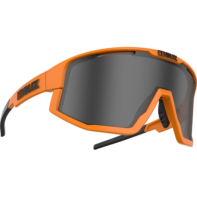 Bliz Vision Sportbrille