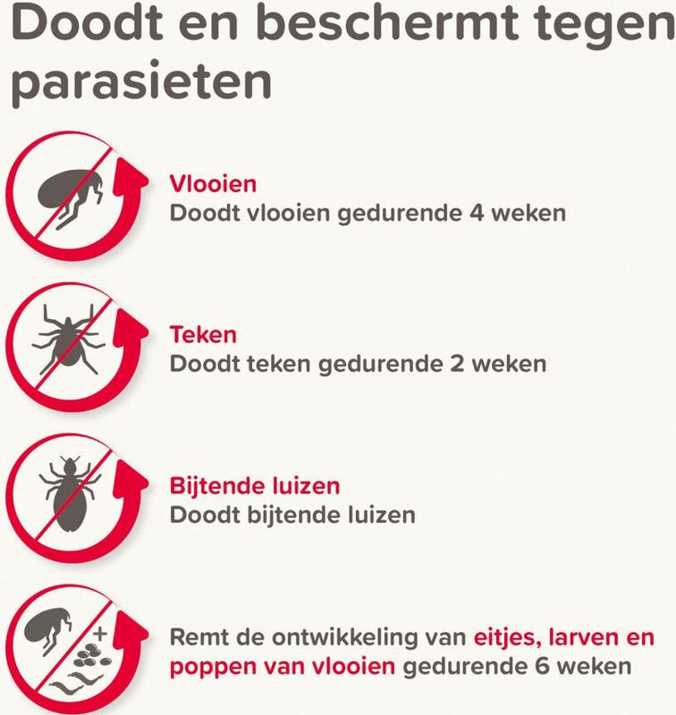 Beaphar - Combotec Anti Vlooien en Teken Druppels - 2 Pipetten - Voor Kat/Fret