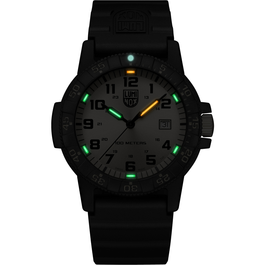 Luminox Leatherback Sea Turtle Giant 0320 Series