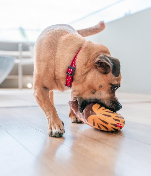 Red Dingo Hundespielzeug DURABLES Toys
