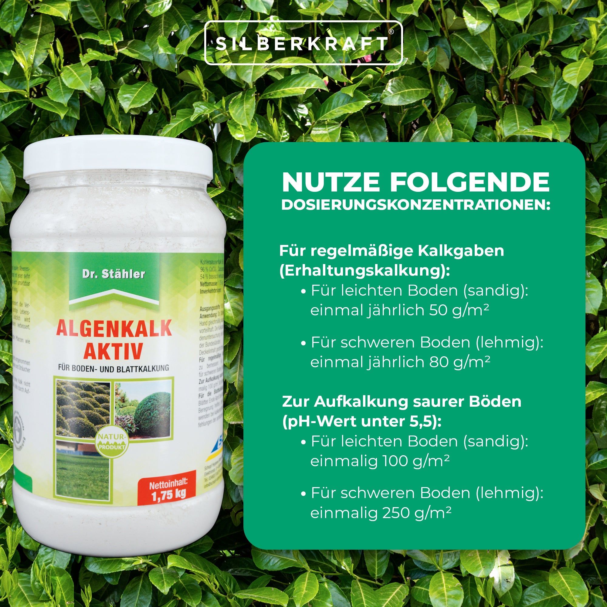 SILBERKRAFT Algenkalk Aktiv