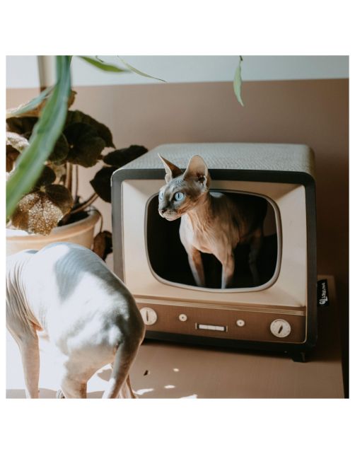 District 70 Telly - Kattenspeelgoed - 39.6 x 35 x 37 cm Bruin