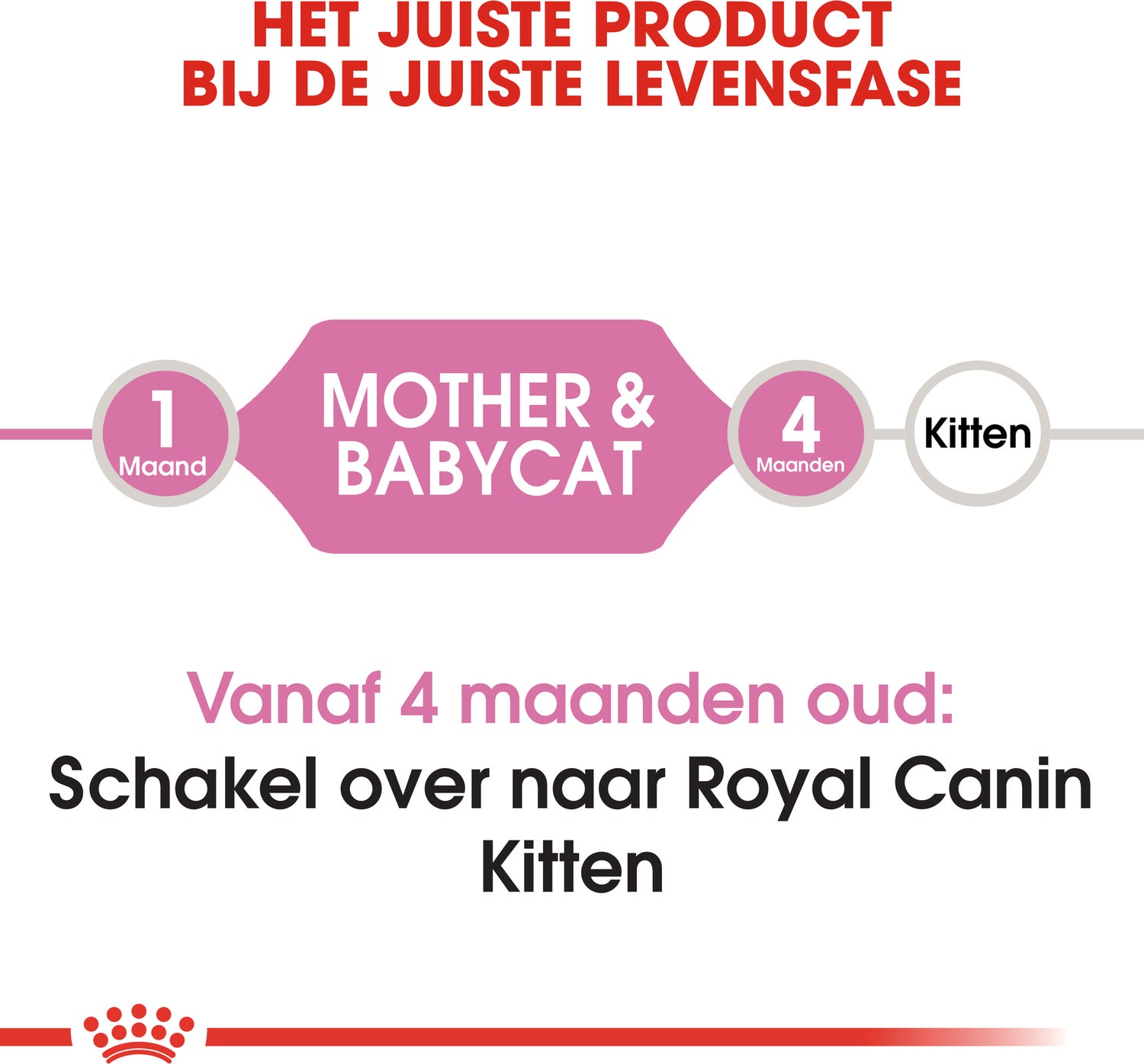 Royal Canin kattenvoer Mother & Babycat 400 g