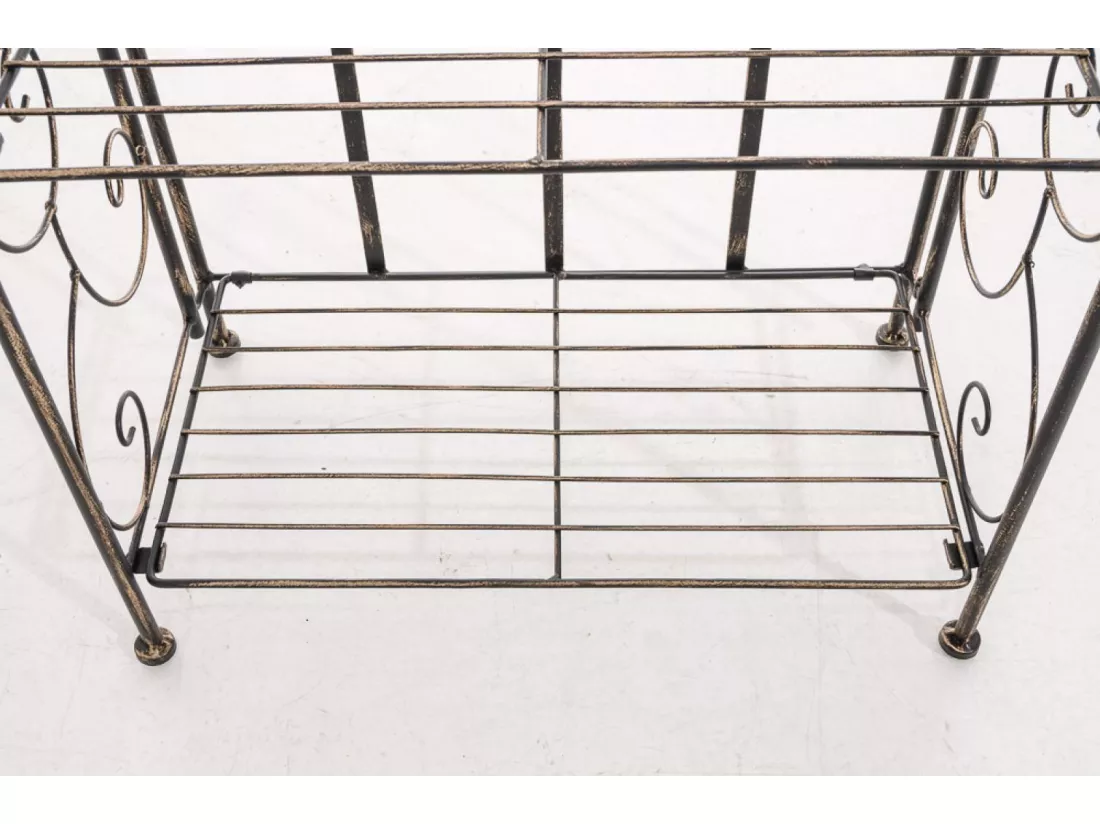 Étagères sur pied - Métal - 45.5 x 24 x 81.5cm - Bronze - Rosa