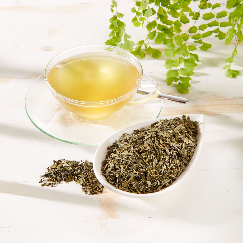 Schrader Grüner Tee Japan Bancha Bio