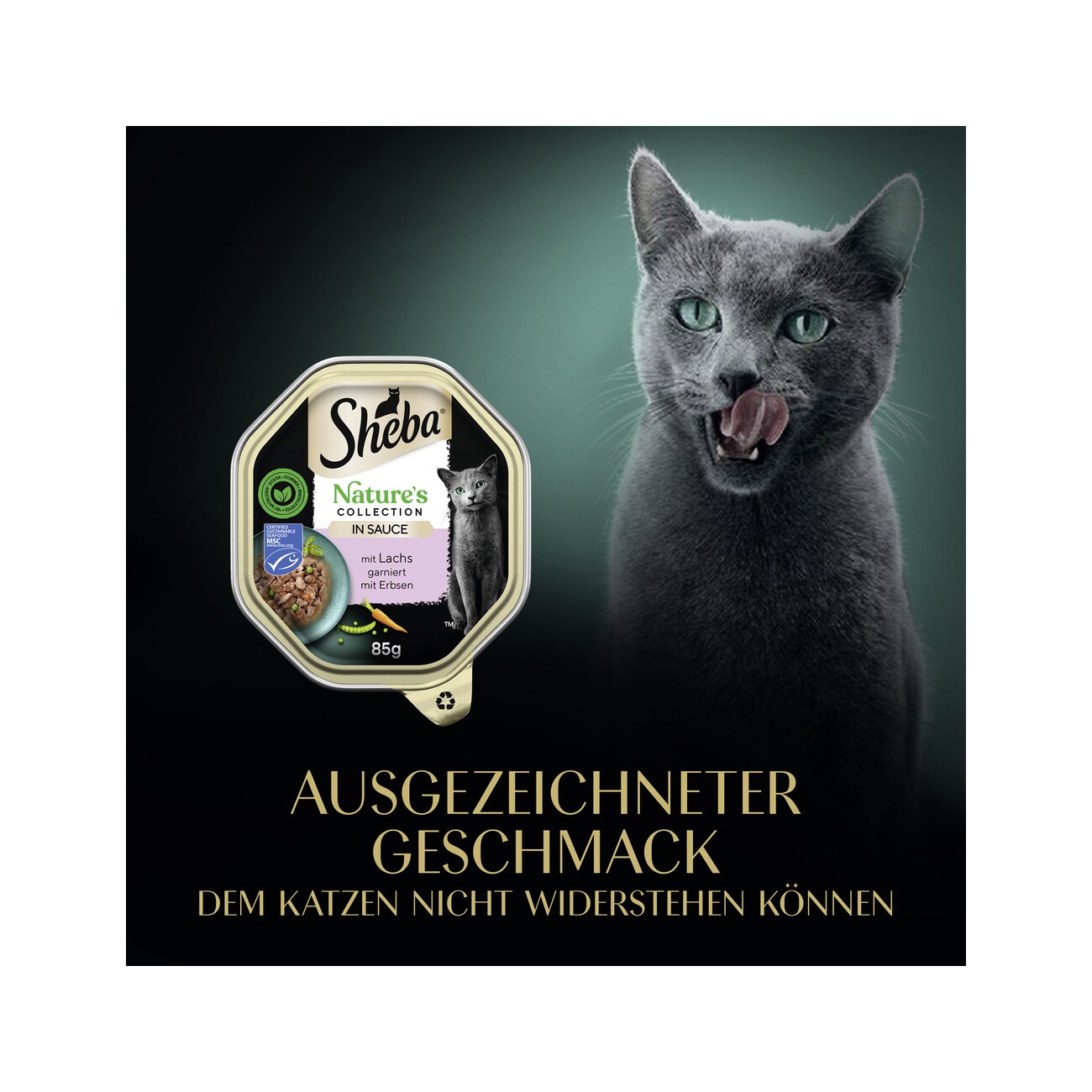 Sheba Nature´s Collection 22 x 85g in Sauce Lachs mit Erbsen