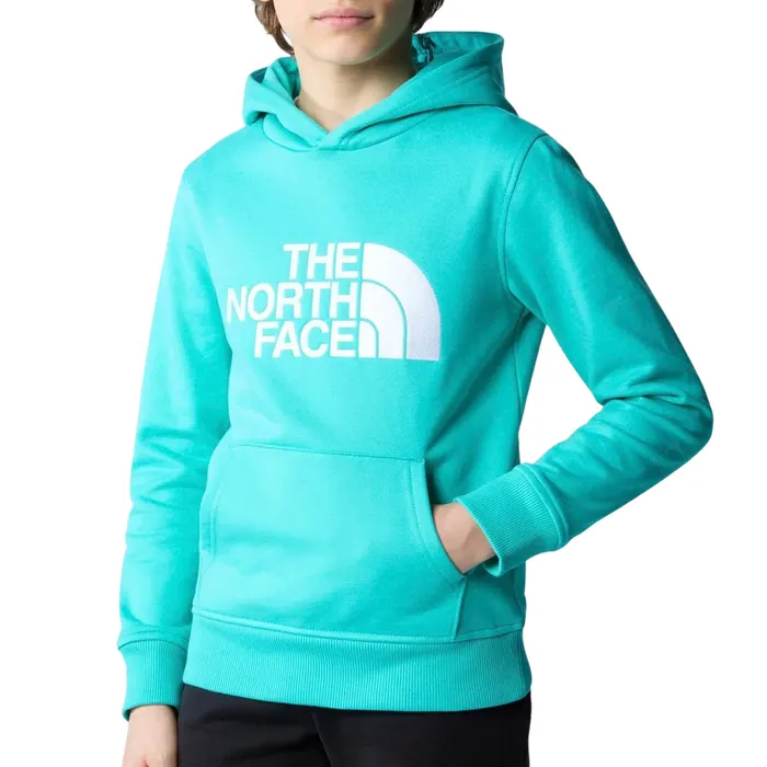 The North Face Drew Peak Hoodie Junior