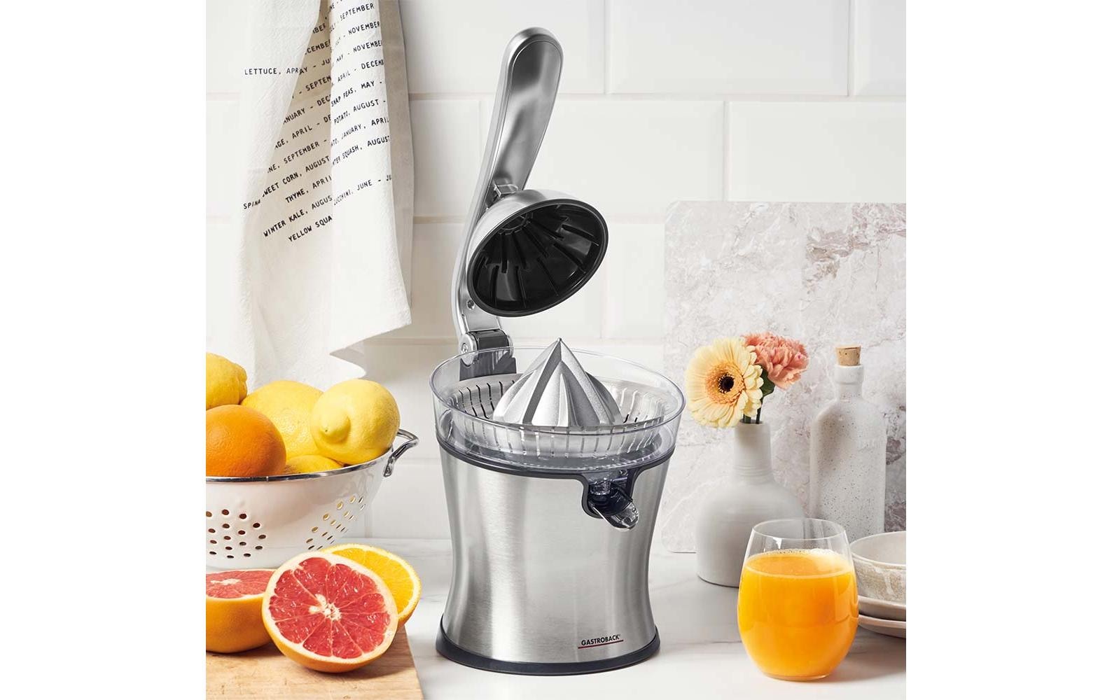 Gastroback Zitruspresse »Advanced Pro S« 100 W