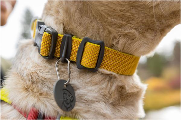 RUFFWEAR® Hundehalsband Hi & Light™ Collar