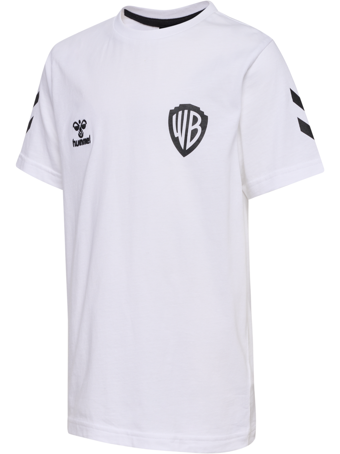 hmlCELEBRATING STORY T-SHIRT S/S