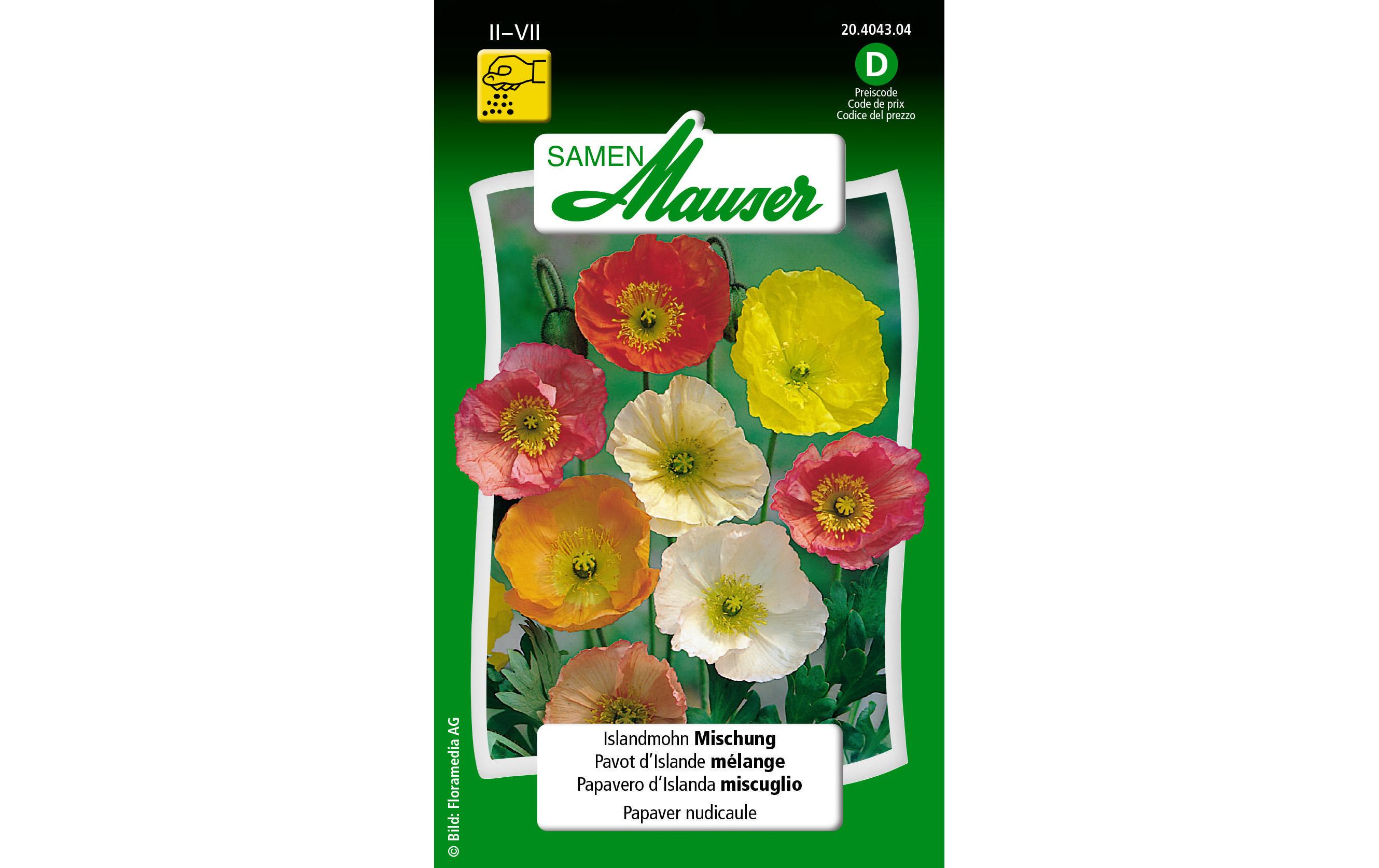 Saatgut Islandmohn MischungBlumensamen