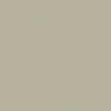 KARWEI houten jaloezie 50 mm leem (kleurnr. 945) 60x130 cm (bxh)
