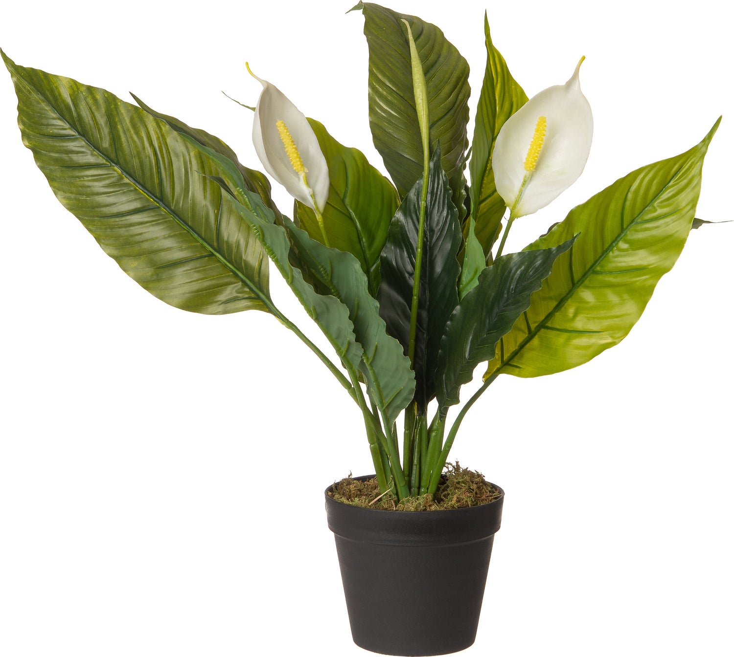 Intratuin kunstplant Spathiphyllum crème 30 x 30 x 60 cm