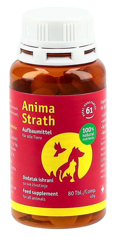 STRATH Aufbautabletten Tabl Ds 80 Stk