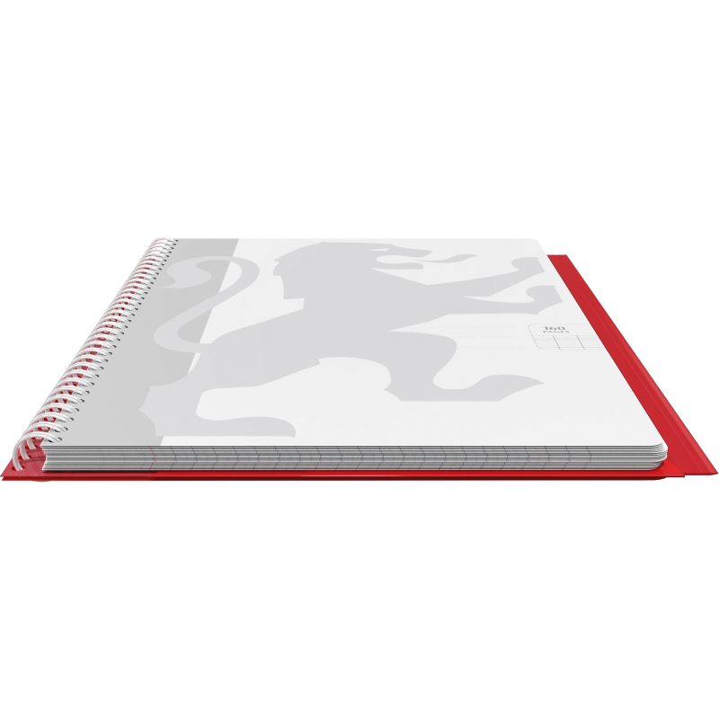 Cahier Easybook integrale 240x320 160pages seyes assorti