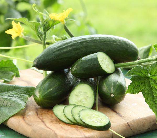 Dehner Gourmet Garten Mini Schlangengurke,