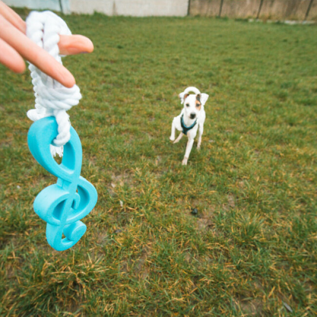 Jouet en caoutchouc et Corde Schtroumpfs pour chien