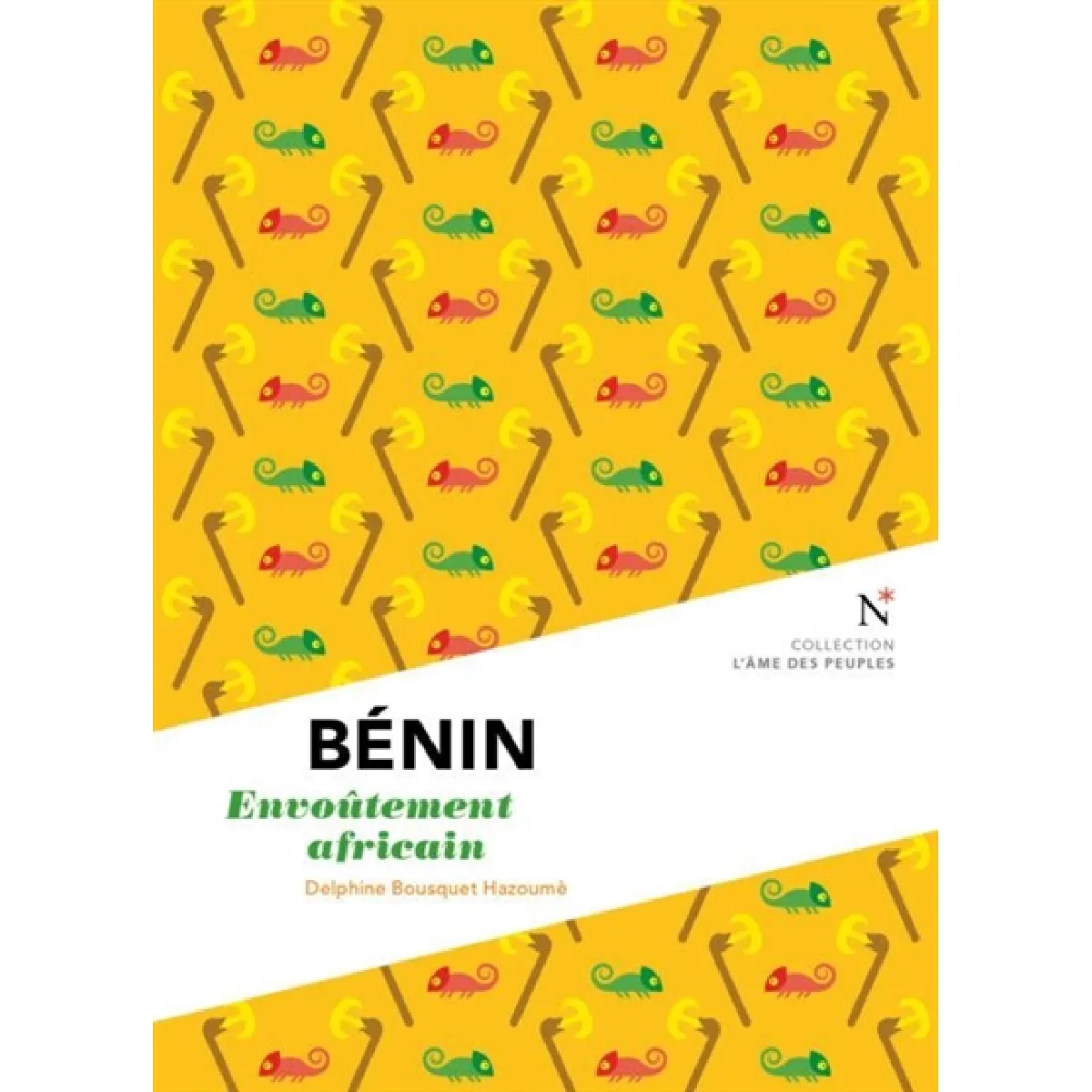 Bénin : envoûtement africain · Occasion