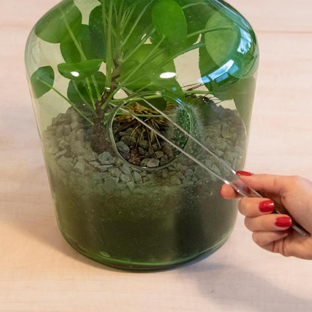 Pince pour terrarium