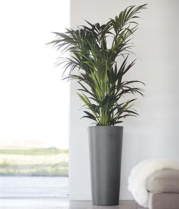 Ecopots Kunststoff-Topf Amsterdam hoch, rund