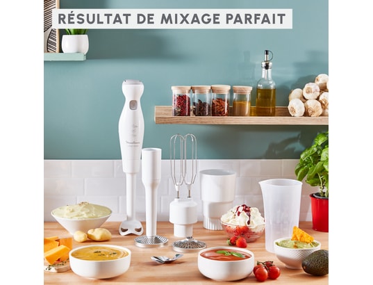 MOULINEX - Mixeur DDG25110 Robot Marie Mixeur plongeant