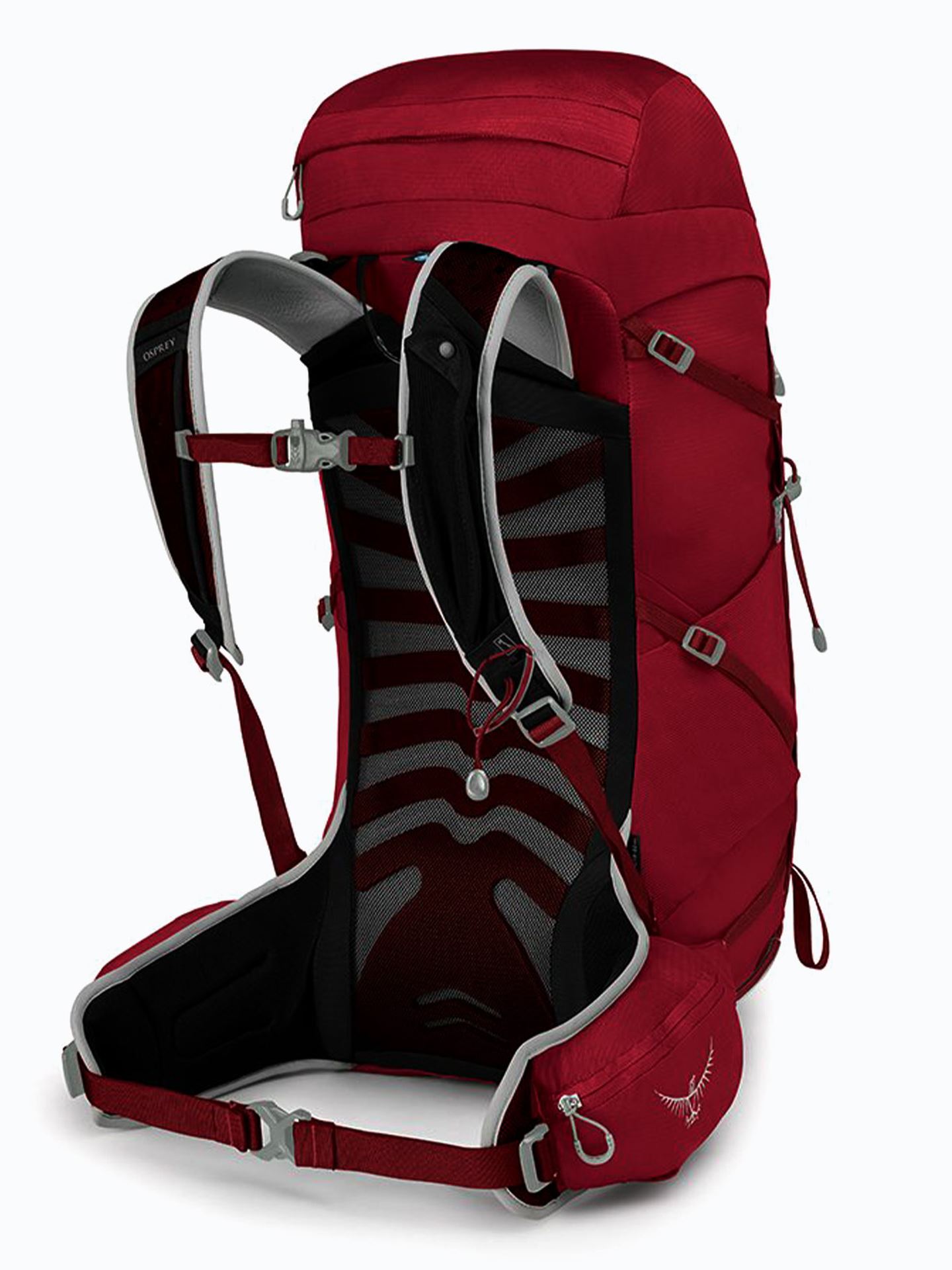 Talon 33L