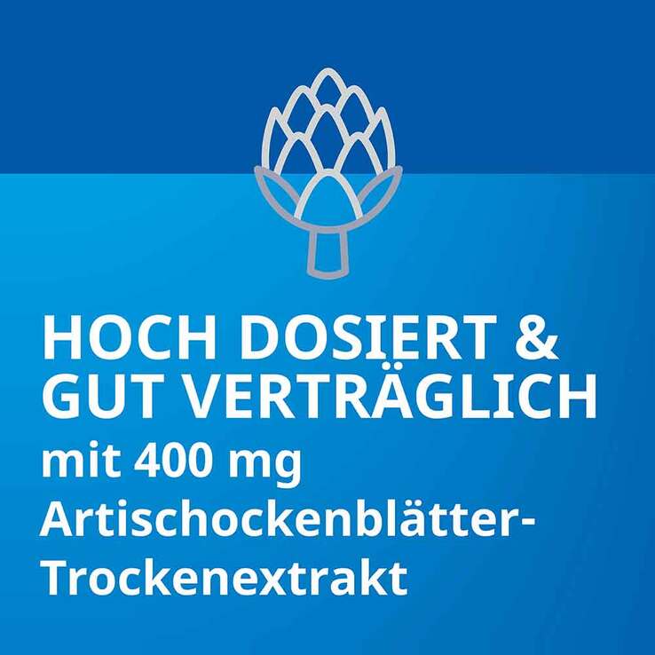 Heparstad® Artischocken, 100 St