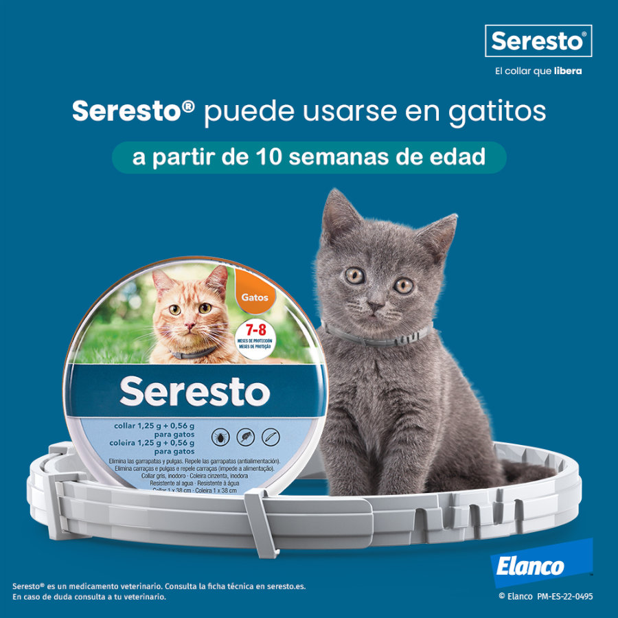 x Seresto Collar Antiparasitario para gatos 38cm - Pack Ahorro