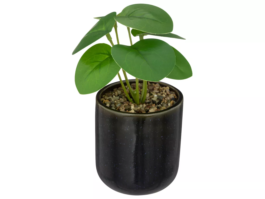 Plante verte artificielle Pot en céramique Noire émaillée H 16 cm