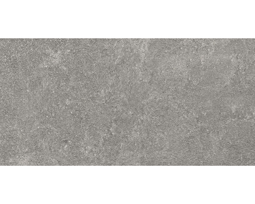 FLAIRSTONE porseleinen terrastegel Luna Silver gerectificeerde rand 100 x 50 x 2 cm