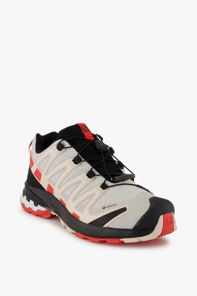 Salomon XA Pro 3D v8 Gore-Tex® Damen Trekkingschuh