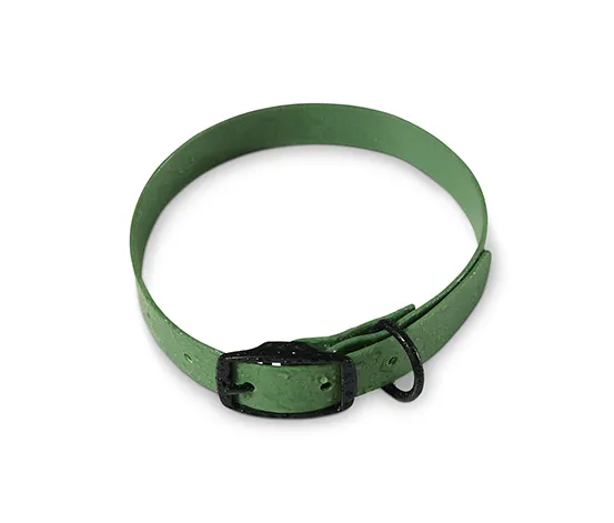 Hunde-Halsband