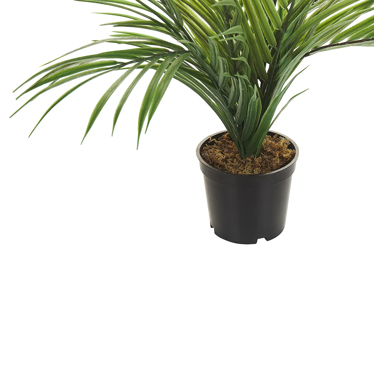 BELIANI ARECA PALM 45 cm Vert