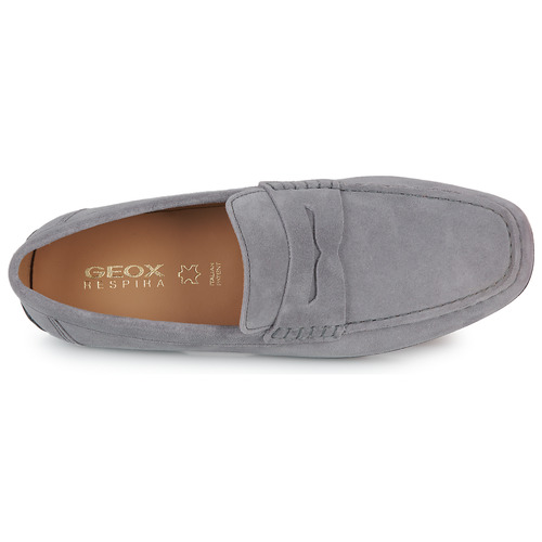 Geox - U KOSMOPOLIS + GRIP - Gris
