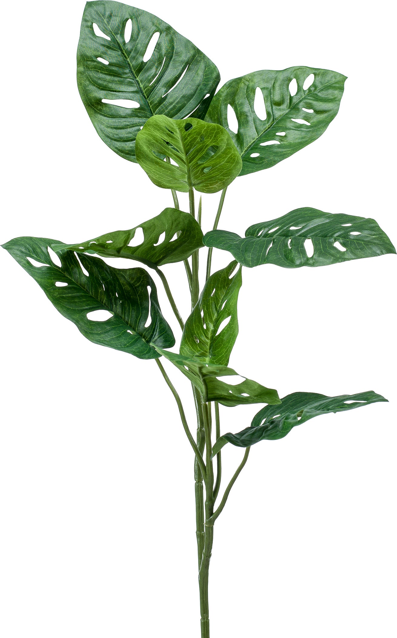 Emerald kunsttak Monstera 'Monkey leaves' groen 75 cm