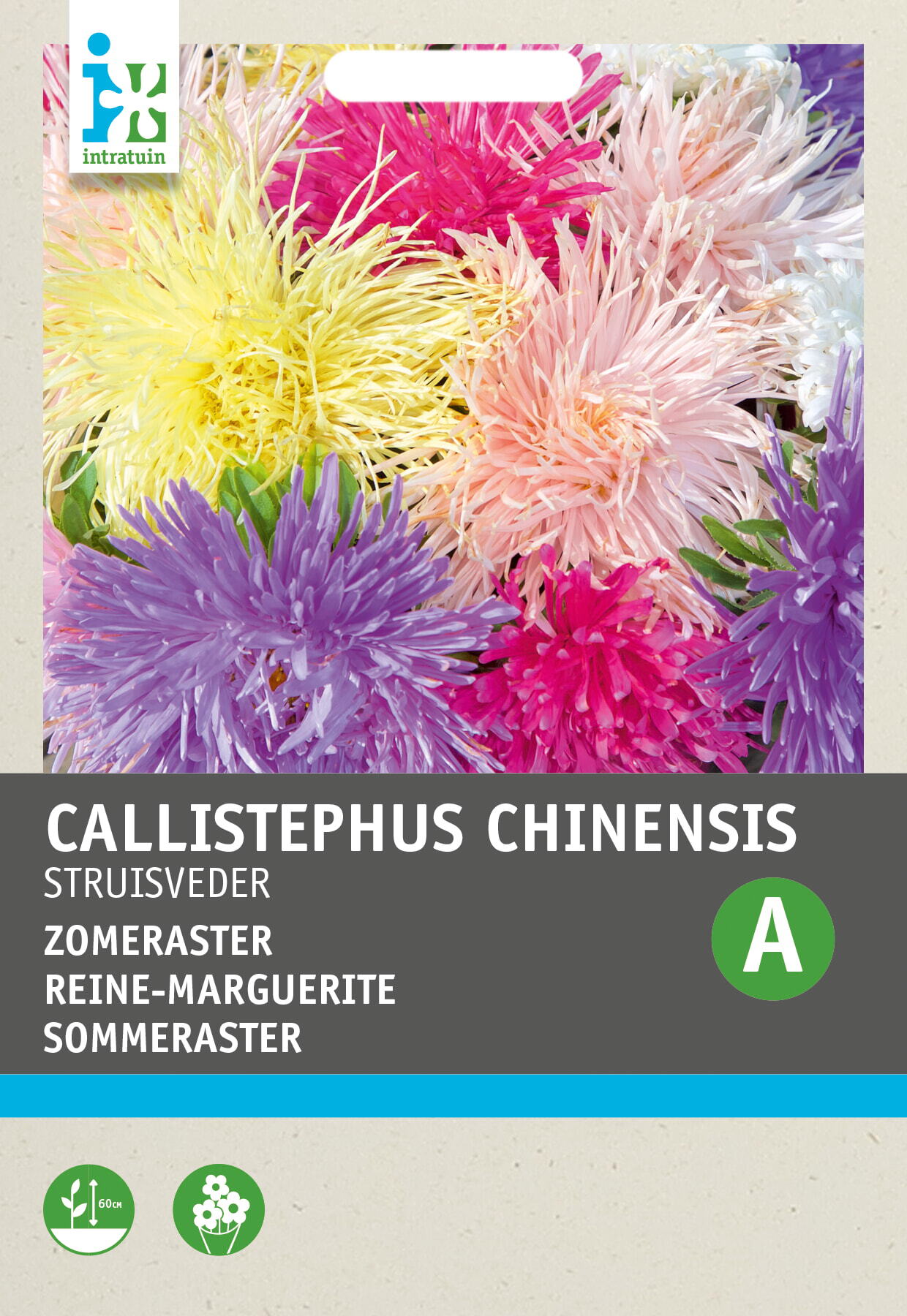 Intratuin bloemenzaad Zomeraster gemengd (Callistephus chinensis)