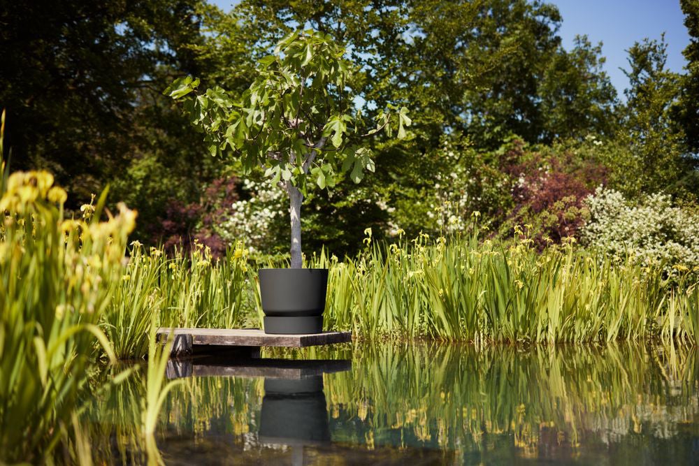 Elho bloempot Greenville zwart D 50 H 55 cm