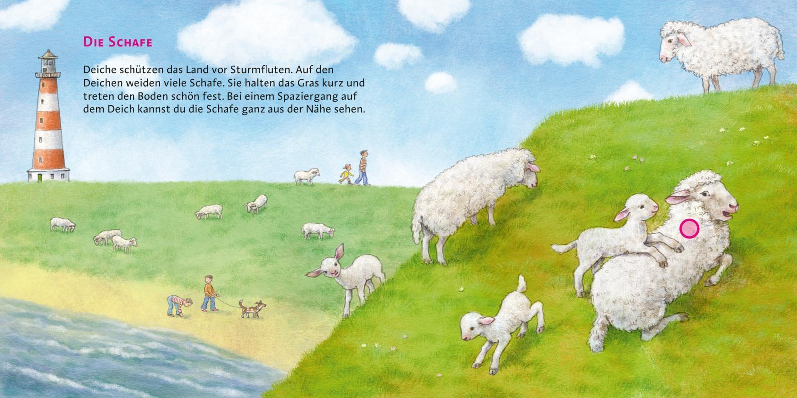 Das Meer / Hör mal Bd.8