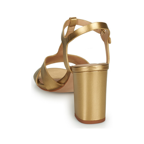 Cosmo Paris - ZOUM Oro