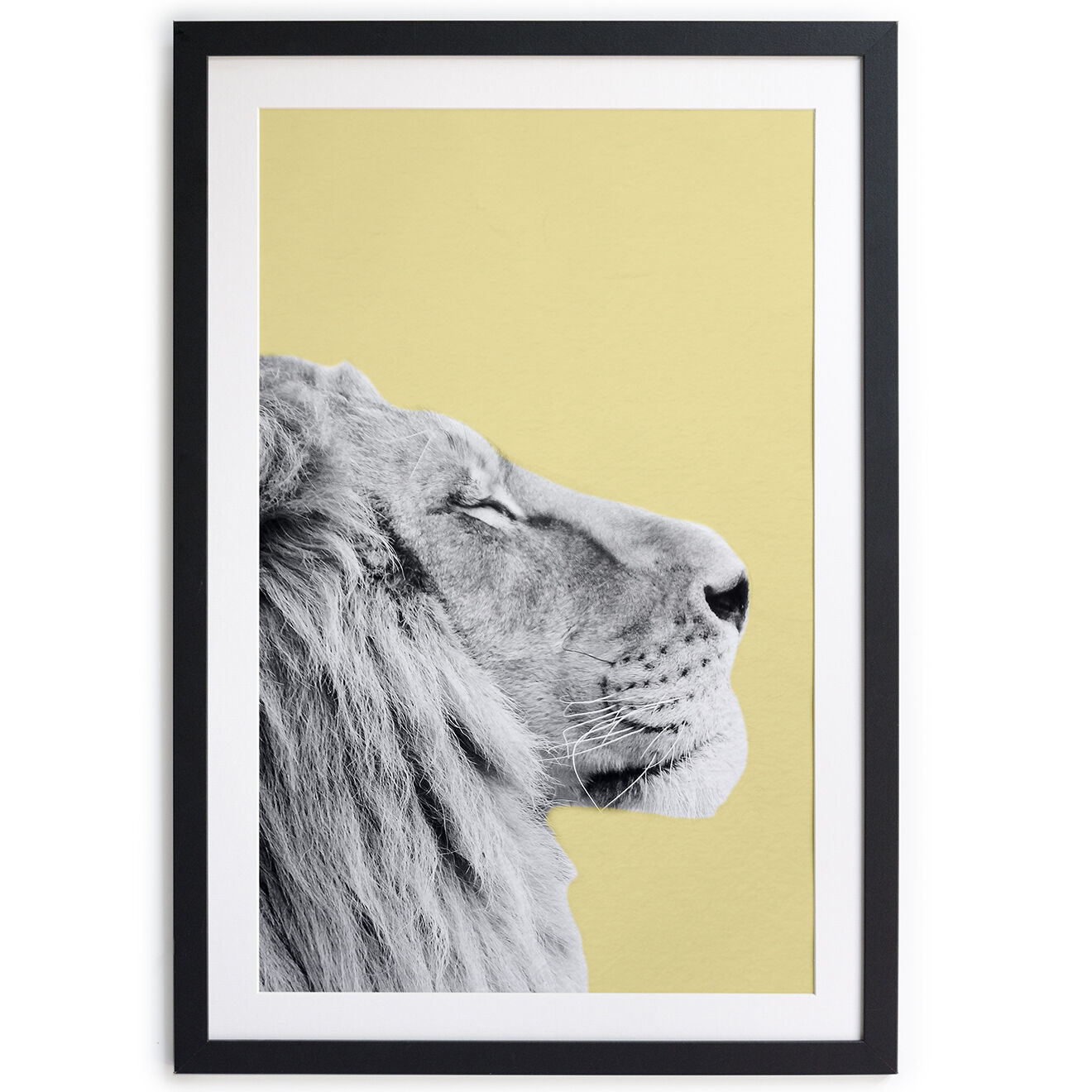 Adapta Blue Cadre Lion gris/noir/jaune - 40x30 cm