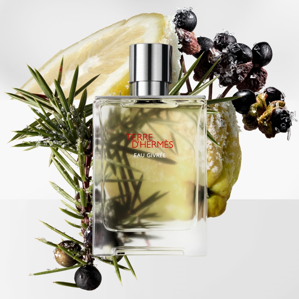 HERMÈS Terre d'Hermès Eau Givrée Recharge Parfum