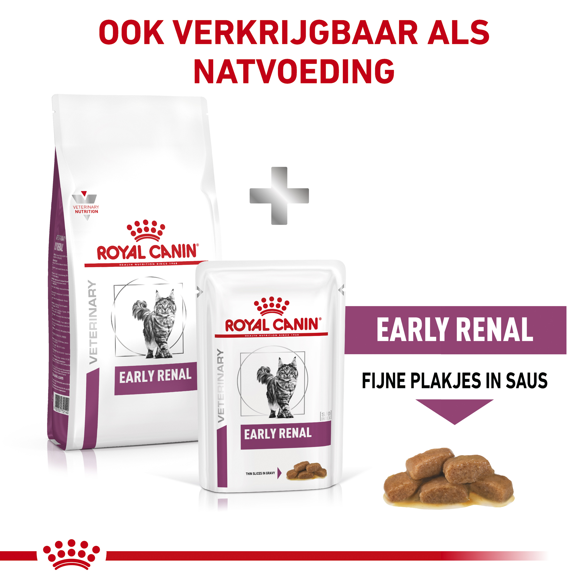 Royal Canin Early Renal - Kat