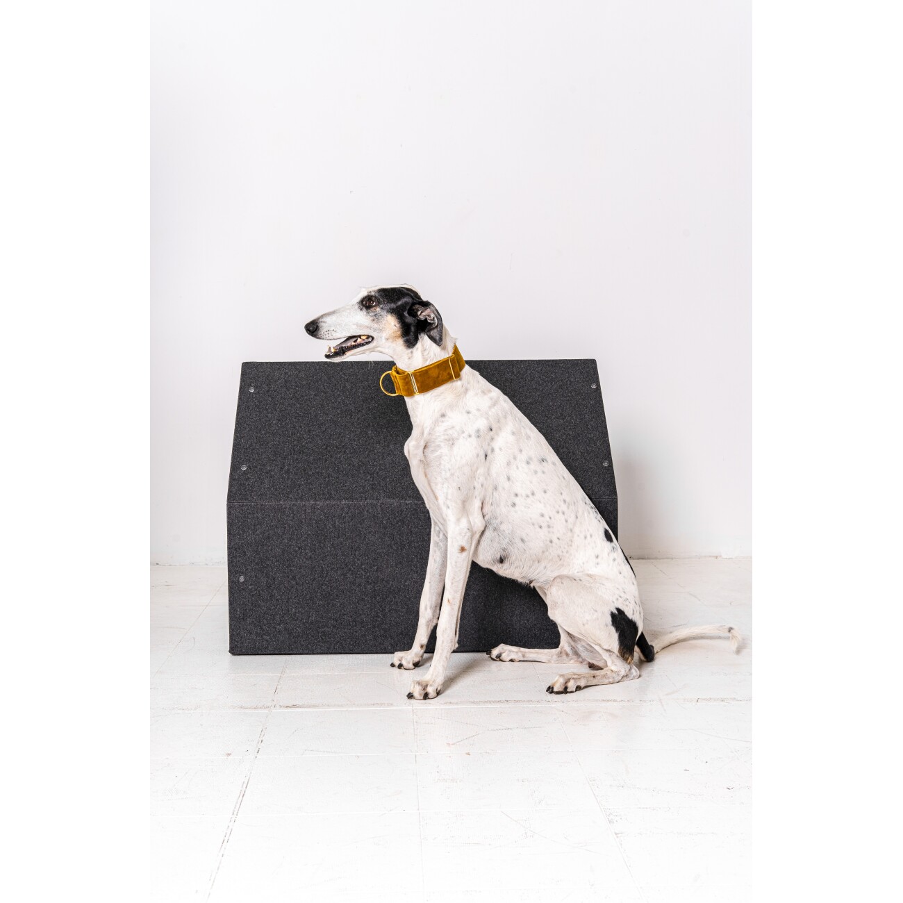 Rexproduct Pethome 2.0 dunkelgrau gelb/ grau S