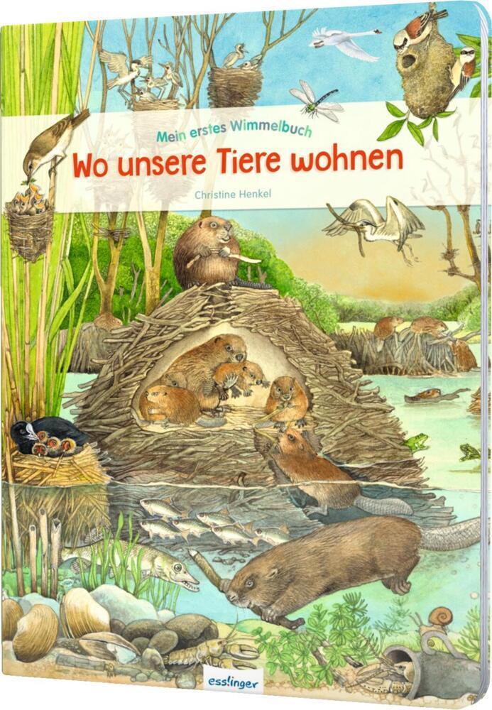 Mein erstes Wimmelbuch / Mein erstes Wimmelbuch: Wo unsere Tiere wohnen