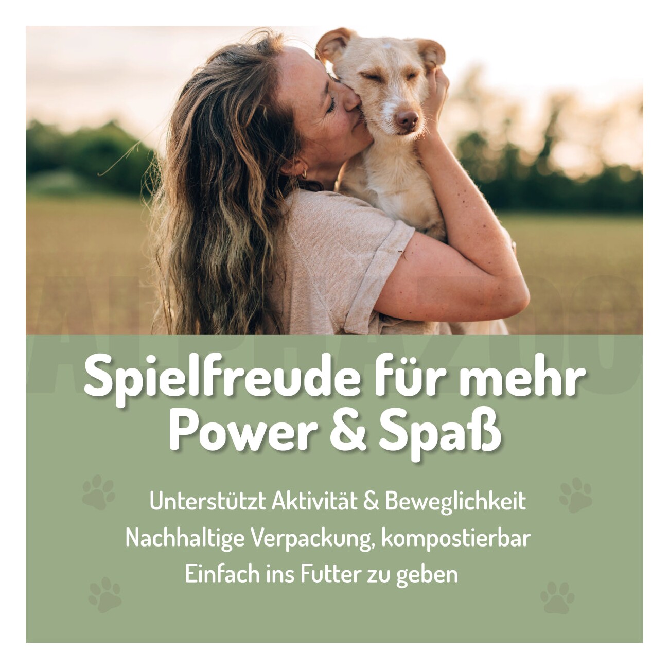 ALPHAZOO Spielfreude Gelenktabletten für Hunde 75 g