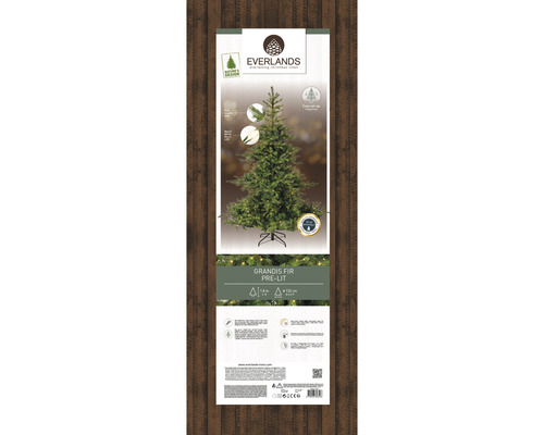 Kunstkerstboom Everlands Grandis, verlicht, 180 cm hoog, groen, inclusief LED