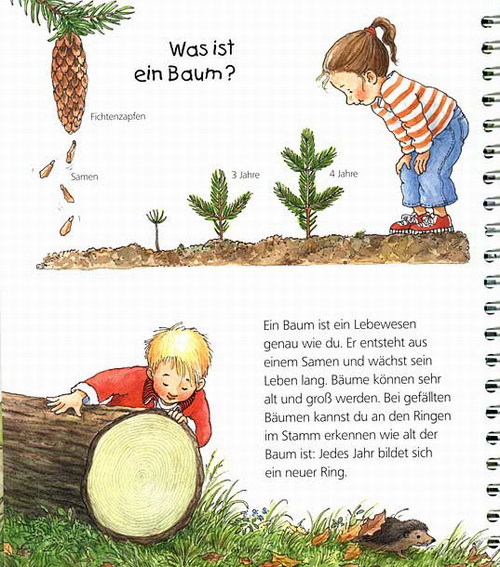 Der Wald / Wieso? Weshalb? Warum? Junior Bd.6